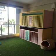 Pet pals & cafe