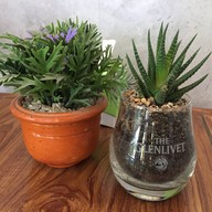 บรรยากาศ COSTA Café  HuaHin