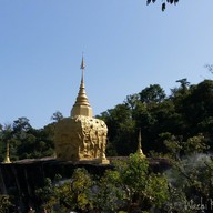 บรรยากาศ ผาแด่น กาแฟสด