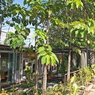 หน้าร้าน Ease @Caffe