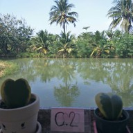 บรรยากาศ Ease @Caffe