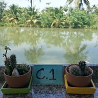 บรรยากาศ Ease @Caffe