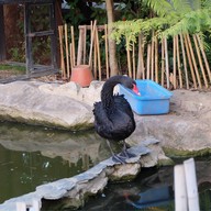 Coffee In The Garden at khaoyai