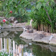 Coffee In The Garden at khaoyai