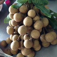 ร้านตากุฎ อาหารตามสั่ง