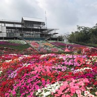 Seven Ozone @ Flora Park