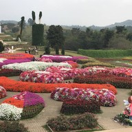 Seven Ozone @ Flora Park