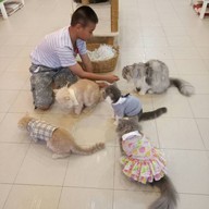 บรรยากาศ Cat Cafe By Lila