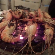 Galasea Seafood Buffet