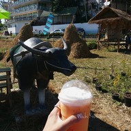 บรรยากาศ ริมนากาแฟ