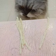 บรรยากาศ Cat Cafe By Lila