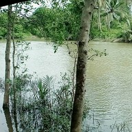 บรรยากาศ บ้านสวนสายธารรีเวอร์ไซด์