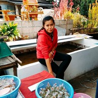 หน้าร้าน ตรัยคูณ เมืองปาน