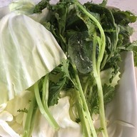 ร้านดอกจาน