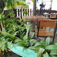 ชุมทาง (ณ) ท่านางหอม