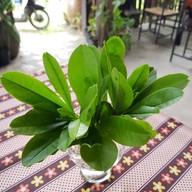 ชุมทาง (ณ) ท่านางหอม