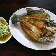 เมนูของร้าน หนู โภชนา