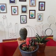 บรรยากาศ ครัวแคคตัส Cactus