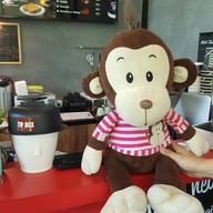 Coffee Today จปร.