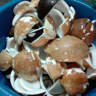 บรรยากาศ เล็กชุนไอศครีม