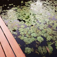 เรือนแม่ Coffee & Homestay