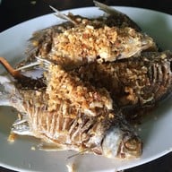 เมนูของร้าน ร้านสวัสดิการ อุทยานแห่งชาติศรีลานนา เขื่อนแม่งัด