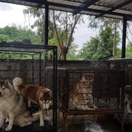 บรรยากาศ Husky Café  Khon Kaen