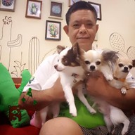 บรรยากาศ ครัวแคคตัส Cactus