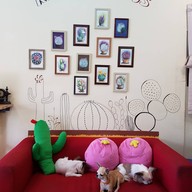 บรรยากาศ ครัวแคคตัส Cactus