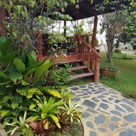 บรรยากาศ ไร่แสนชมพู