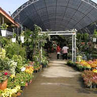 กาแฟสดสวนลุงแจ๋