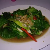 สายใหม่สะเดา