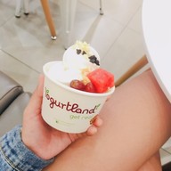 เมนูของร้าน Yogurtland เซ็นทรัลเวสเกต