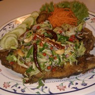 สายใหม่สะเดา
