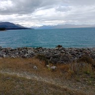 Mt Cook Alpine Salmon