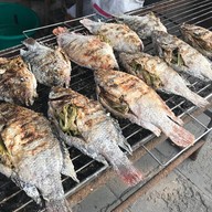 ม.ปลาเผา