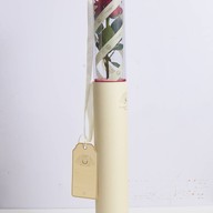 Close To Nature Flowers