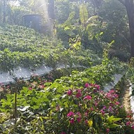 วิวสวยกาแฟสด