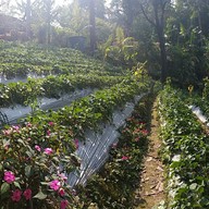 วิวสวยกาแฟสด