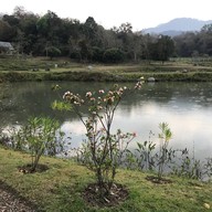 Anna Farm & Eatery