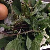 เมนูของร้าน เตาถ่านบาร์ บึงกาฬ บึงกาฬ