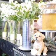 Lovin’ Her Flower Cafe&Bar ฮงแด
