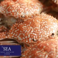 เมนูของร้าน The Sea Seafood&Delivery รามอินทรา  ปากซอย  8