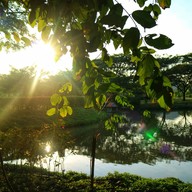 บรรยากาศ ศศิมามูนไลท์วิลล่า