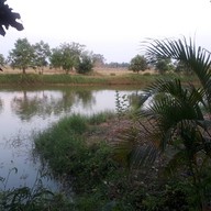 ครัวทุ่งทิพย์ ด่านขุนทด