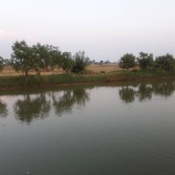 ครัวทุ่งทิพย์ ด่านขุนทด