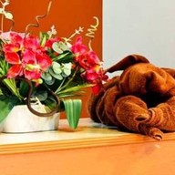 โรงแรมขนอมมาร็อค