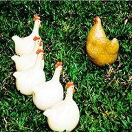 โรงแรมเควัน