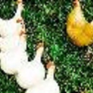 โรงแรมเควัน