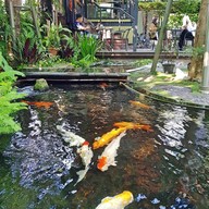 บรรยากาศ Risa Lamo อารีย์ การ์เด้น